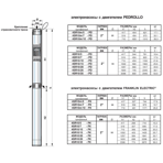     Pedrollo 4SR 10m 10-PD