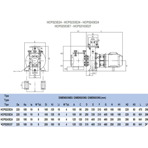     Hayward HCP 5223E24 (380V, 13 ./)