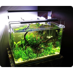   Dennerle Nano Scaper's Tank, 70 