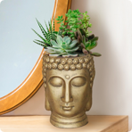   () Idealist Face Planter  (BUD-FP-GLD-19)