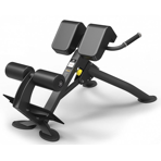  Spirit Fitness SP-4220    45 