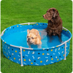     Bestway  Fetchin' Fun Pet Play Pool 561KM,  122x30,5 